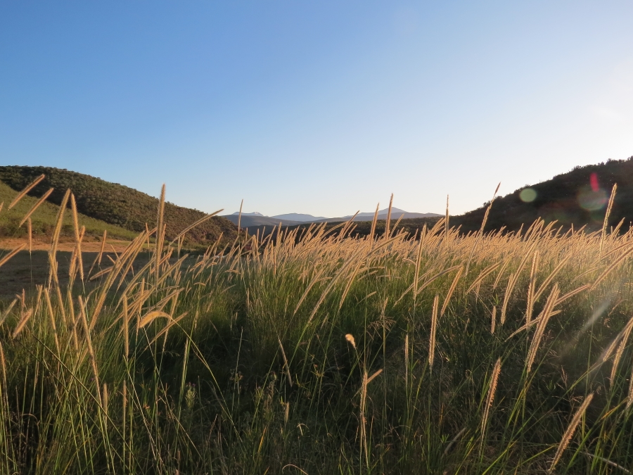 3 Bedroom Property for Sale in Joubertina Eastern Cape